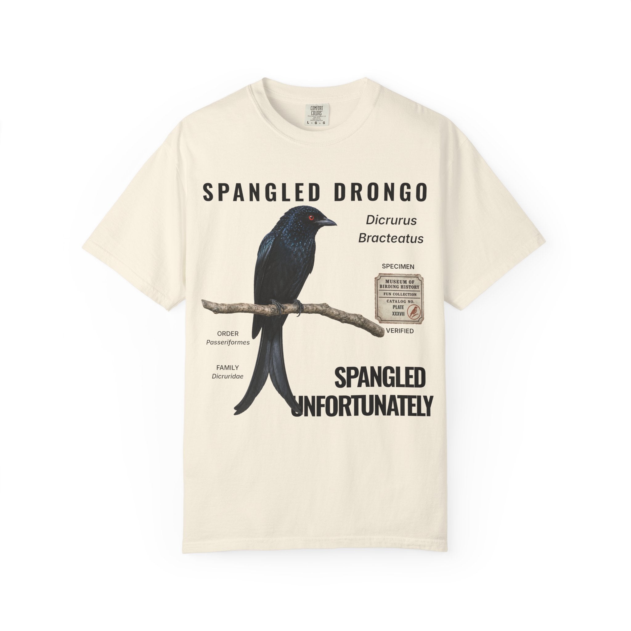 WBN SPANGLED DRONGO T-SHIRT