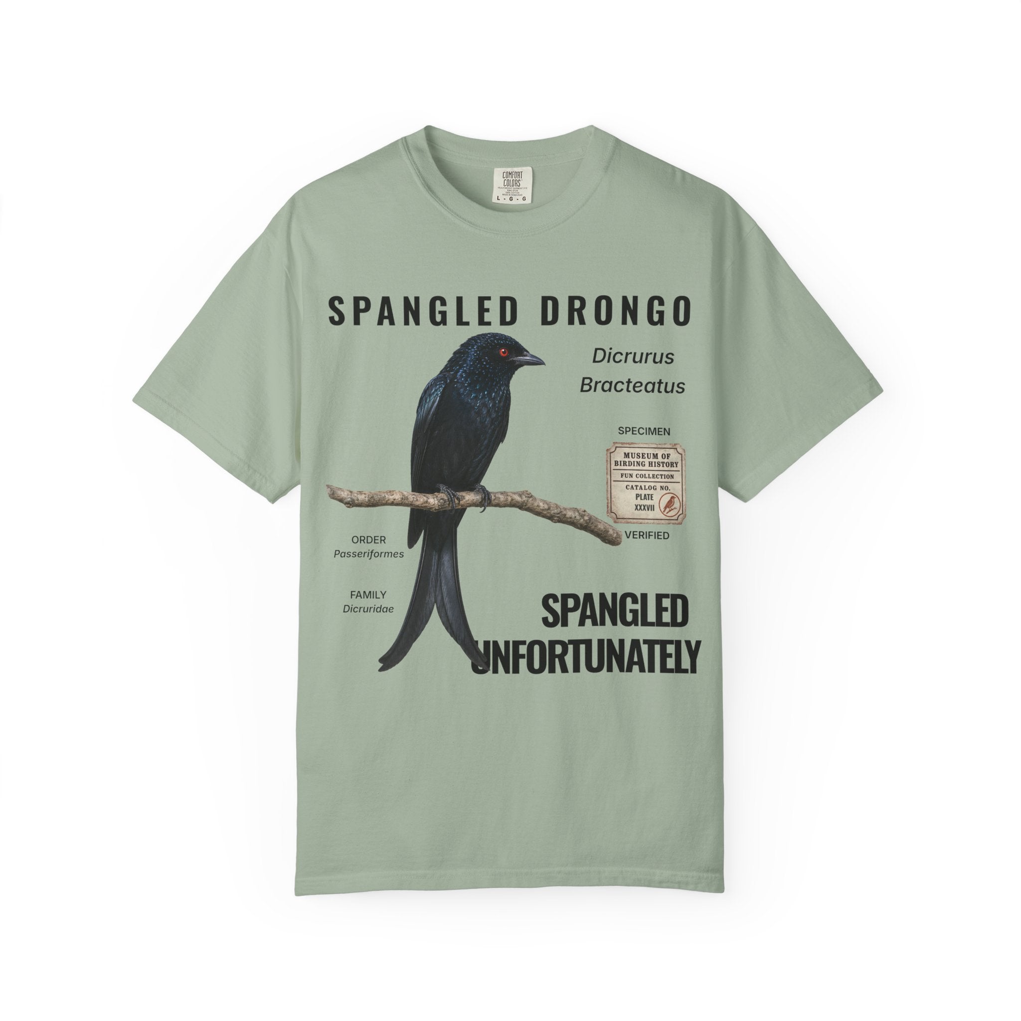 WBN SPANGLED DRONGO T-SHIRT
