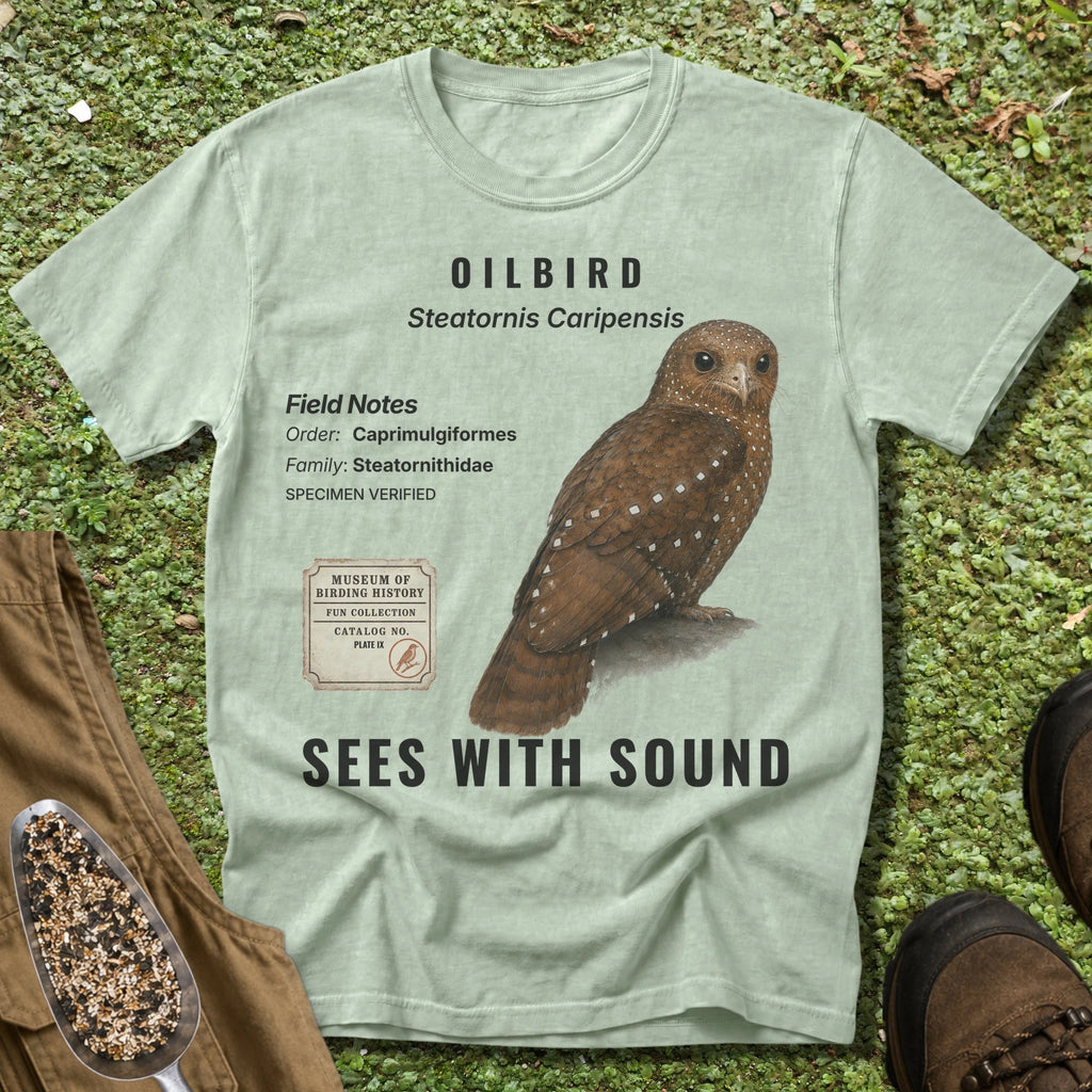 Bay